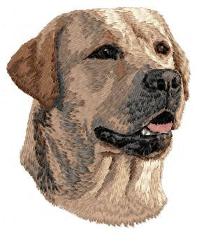 Labrador Retriever 7