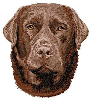 Labrador Retriever 6