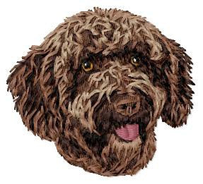 Spanish Water Dog