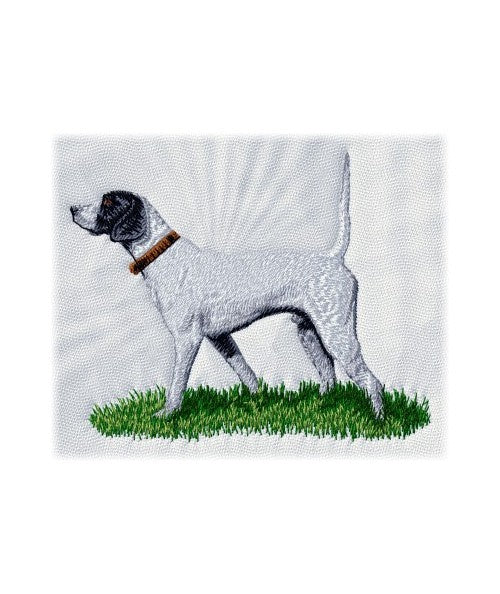 Pointer 1
