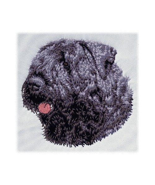 Bouvier des Flandres 1