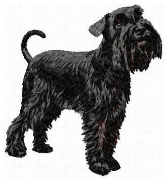 Schnauzer 1