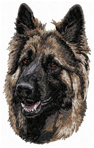 German Shepherd 1